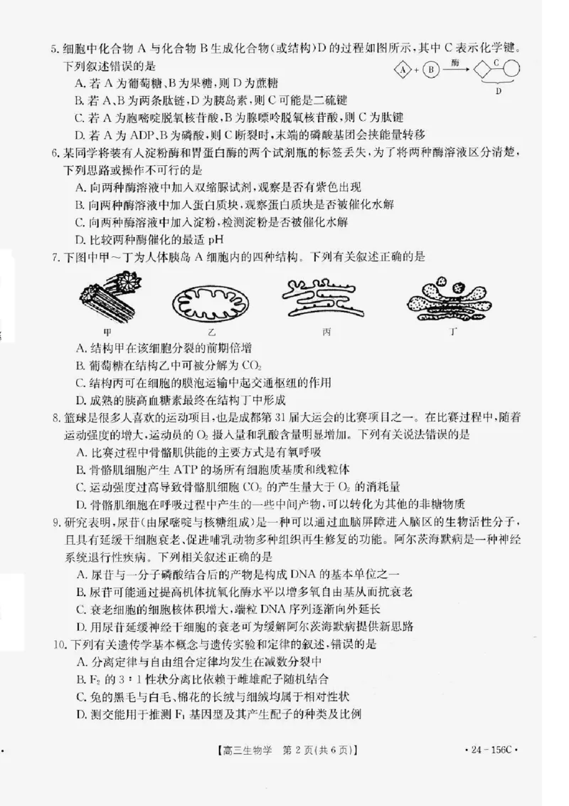辽宁省铁岭市一般高中协作校2023-2024学年高三上学期期中考试生物(1)_2023年11月_0211月合集_2024届辽宁省铁岭市一般高中协作校高三上学期期中考试