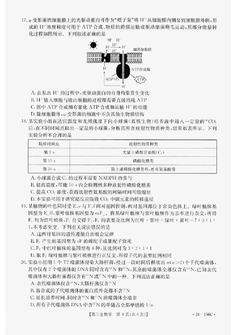 辽宁省铁岭市一般高中协作校2023-2024学年高三上学期期中考试生物(1)_2023年11月_0211月合集_2024届辽宁省铁岭市一般高中协作校高三上学期期中考试