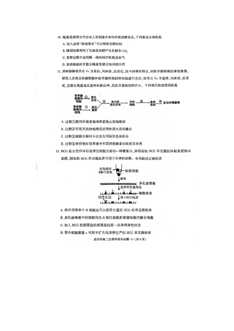 咸阳市2023~2024学年度第二学期普通高中期末质量检测高二生物试题_2024-2025高三（6-6月题库）_2024年07月试卷_240712陕西省咸阳市2023-2024学年高二下学期7月期末