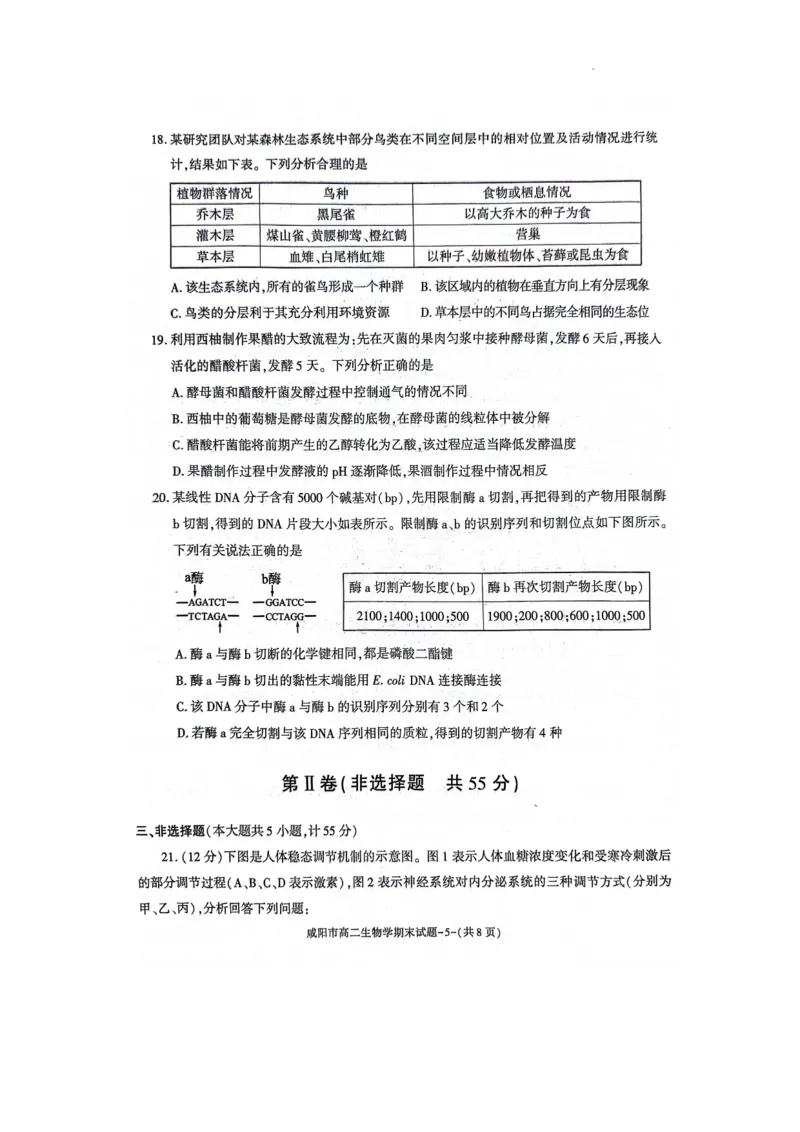 咸阳市2023~2024学年度第二学期普通高中期末质量检测高二生物试题_2024-2025高三（6-6月题库）_2024年07月试卷_240712陕西省咸阳市2023-2024学年高二下学期7月期末