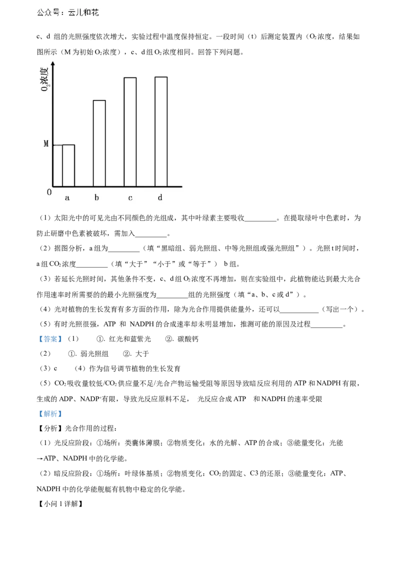 湖北省武汉外国语学校2023-2024学年高二下学期期末考试生物试卷Word版含解析_2024-2025高二（7-7月题库）_2024年07月试卷_0723湖北省武汉外国语学校2023-2024学年高二下学期期末考试