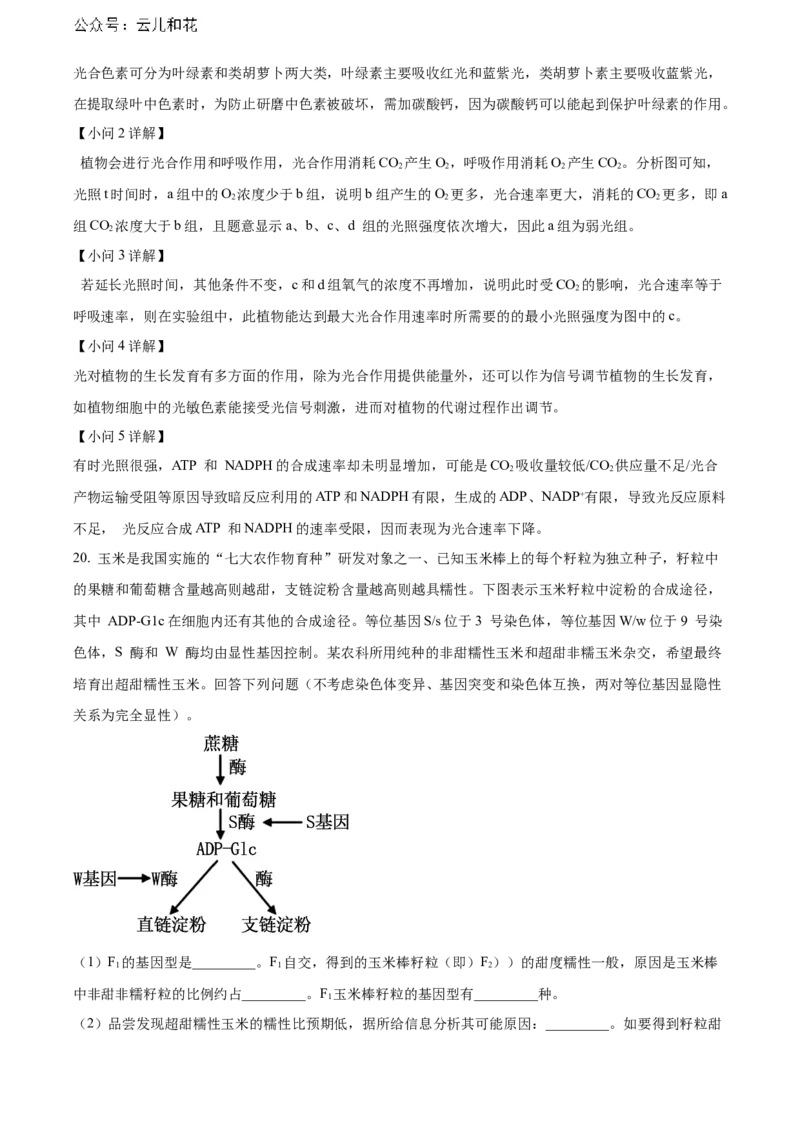 湖北省武汉外国语学校2023-2024学年高二下学期期末考试生物试卷Word版含解析_2024-2025高二（7-7月题库）_2024年07月试卷_0723湖北省武汉外国语学校2023-2024学年高二下学期期末考试