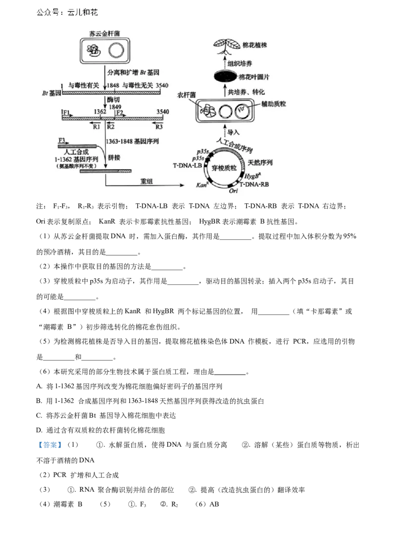 湖北省武汉外国语学校2023-2024学年高二下学期期末考试生物试卷Word版含解析_2024-2025高二（7-7月题库）_2024年07月试卷_0723湖北省武汉外国语学校2023-2024学年高二下学期期末考试