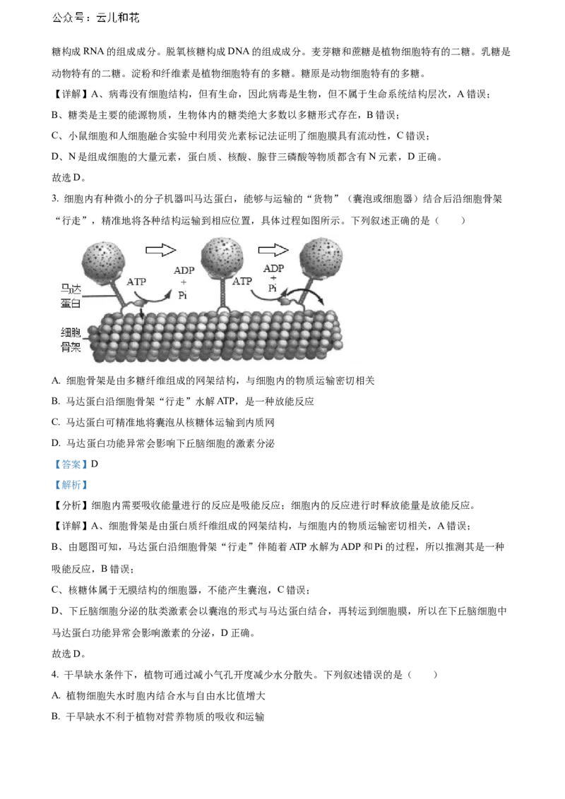 湖北省武汉外国语学校2023-2024学年高二下学期期末考试生物试卷Word版含解析_2024-2025高二（7-7月题库）_2024年07月试卷_0723湖北省武汉外国语学校2023-2024学年高二下学期期末考试