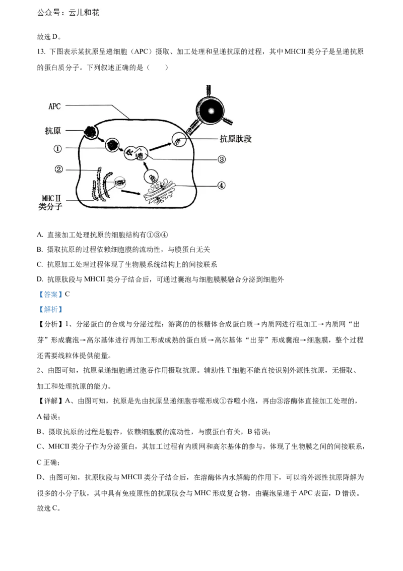 湖北省武汉外国语学校2023-2024学年高二下学期期末考试生物试卷Word版含解析_2024-2025高二（7-7月题库）_2024年07月试卷_0723湖北省武汉外国语学校2023-2024学年高二下学期期末考试