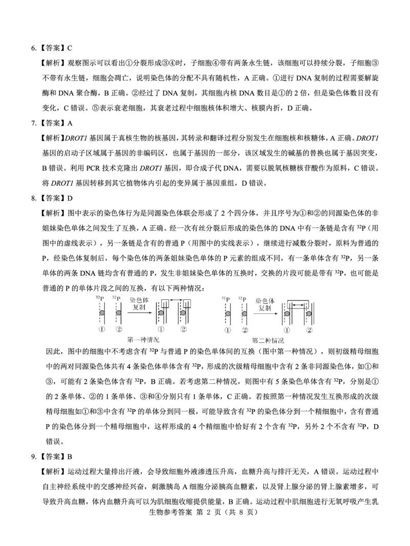名校教研联盟2025届高考模拟试题训练（样卷）生物答题卡_2024-2025高三（6-6月题库）_2024年09月试卷_0904名校教研联盟2025届高考模拟试题训练（样卷）