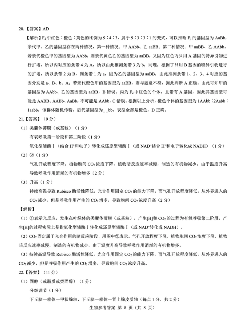 名校教研联盟2025届高考模拟试题训练（样卷）生物答题卡_2024-2025高三（6-6月题库）_2024年09月试卷_0904名校教研联盟2025届高考模拟试题训练（样卷）