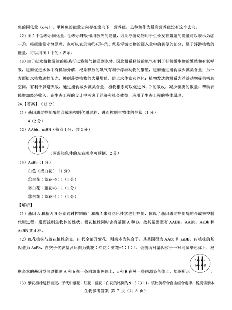 名校教研联盟2025届高考模拟试题训练（样卷）生物答题卡_2024-2025高三（6-6月题库）_2024年09月试卷_0904名校教研联盟2025届高考模拟试题训练（样卷）
