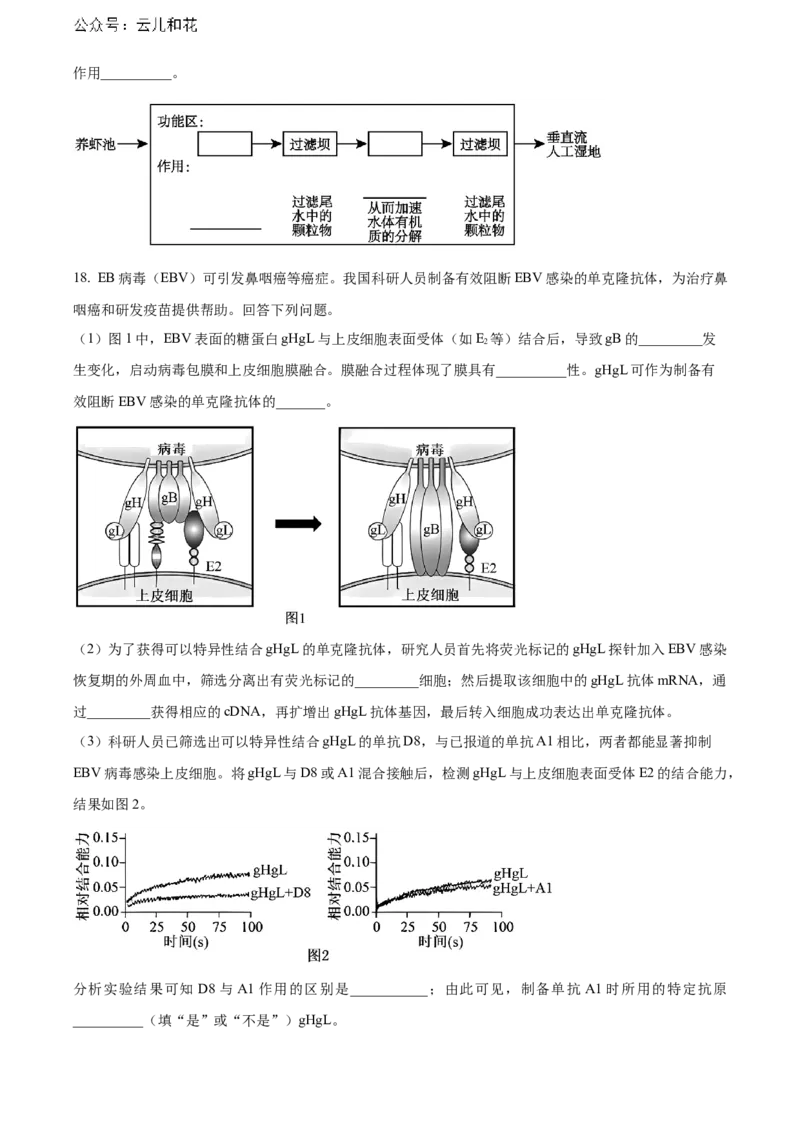 广东省江门市2023-2024学年高二下学期7月期末考试生物Word版含解析_2024-2025高二（7-7月题库）_2024年07月试卷_0730广东省江门市2023-2024学年高二下学期7月期末考试