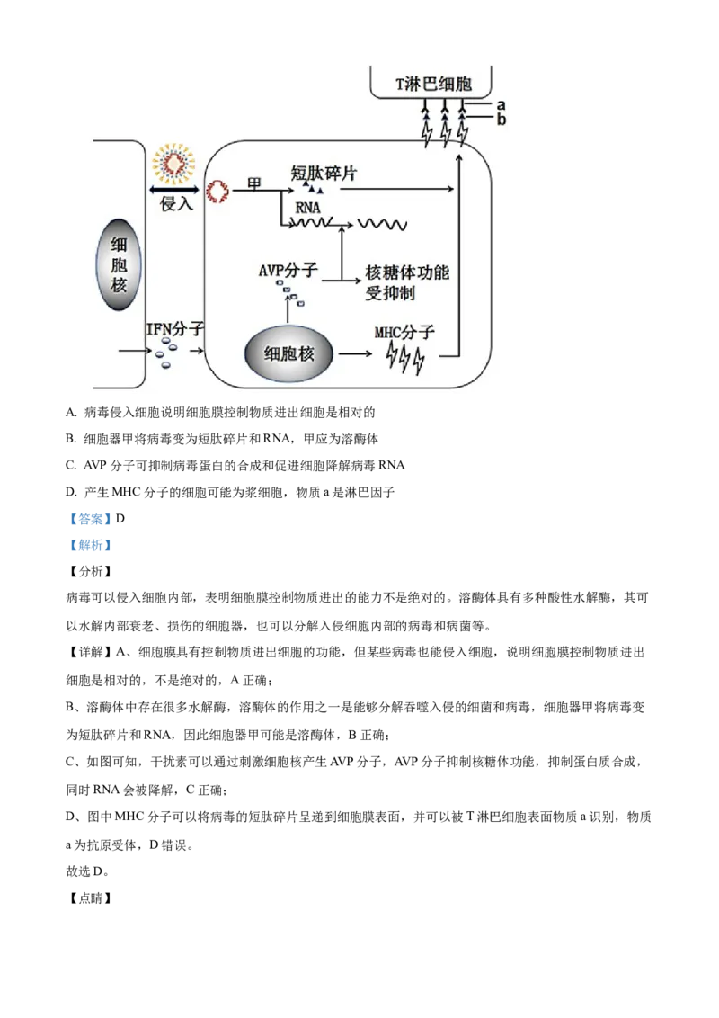 江苏省宿迁市2024-2025学年高二上学期11月期中生物试题Word版含解析_2024-2025高二（7-7月题库）_2024年12月试卷_1217江苏省宿迁市2024-2025学年高二上学期11月期中考试