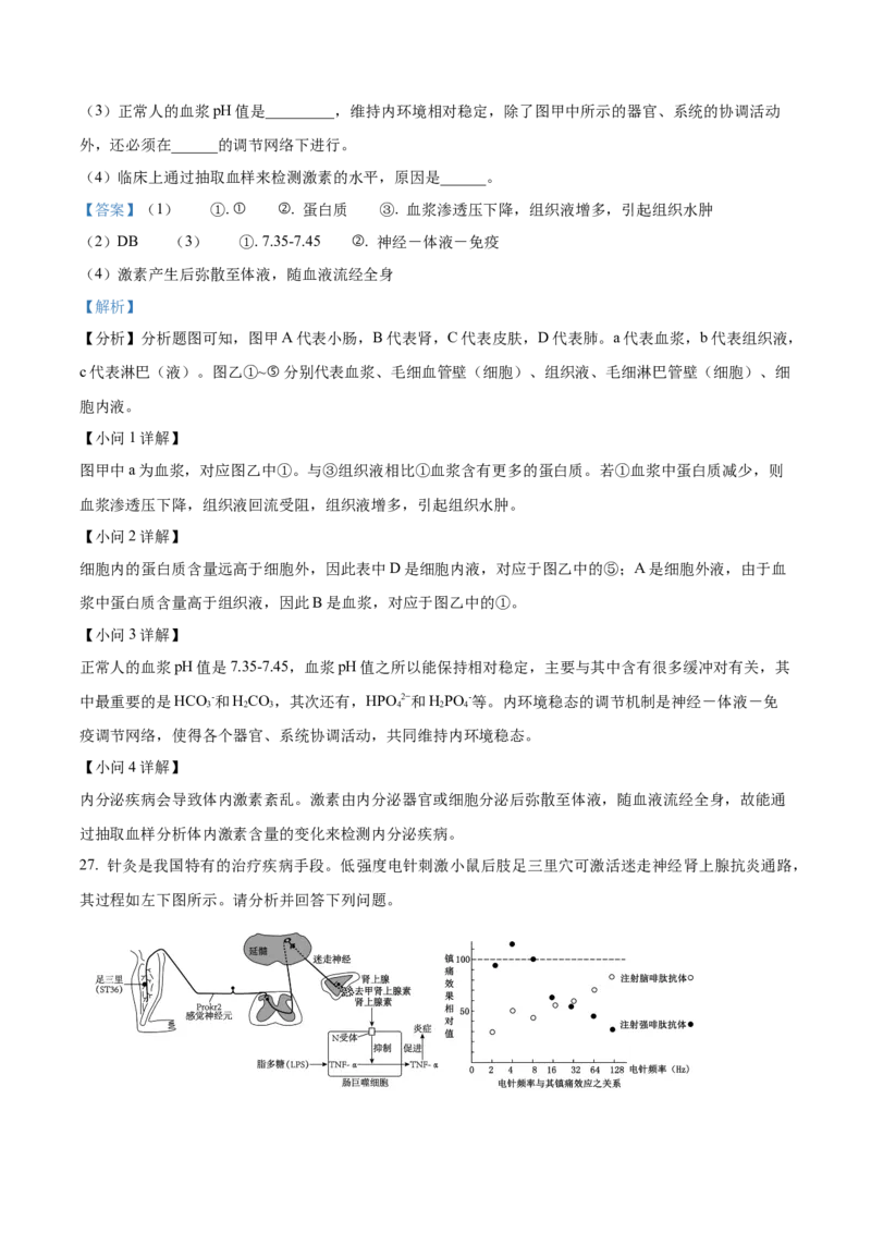 江苏省宿迁市2024-2025学年高二上学期11月期中生物试题Word版含解析_2024-2025高二（7-7月题库）_2024年12月试卷_1217江苏省宿迁市2024-2025学年高二上学期11月期中考试