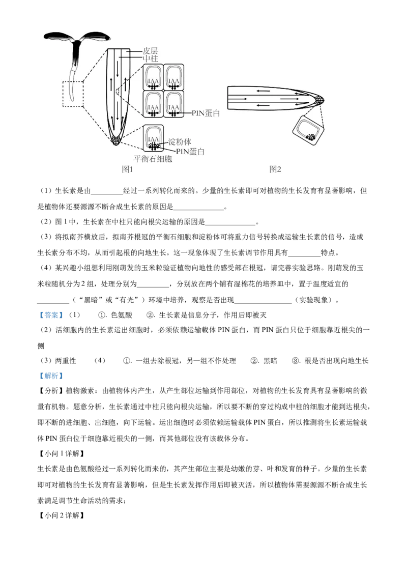 江苏省宿迁市2024-2025学年高二上学期11月期中生物试题Word版含解析_2024-2025高二（7-7月题库）_2024年12月试卷_1217江苏省宿迁市2024-2025学年高二上学期11月期中考试