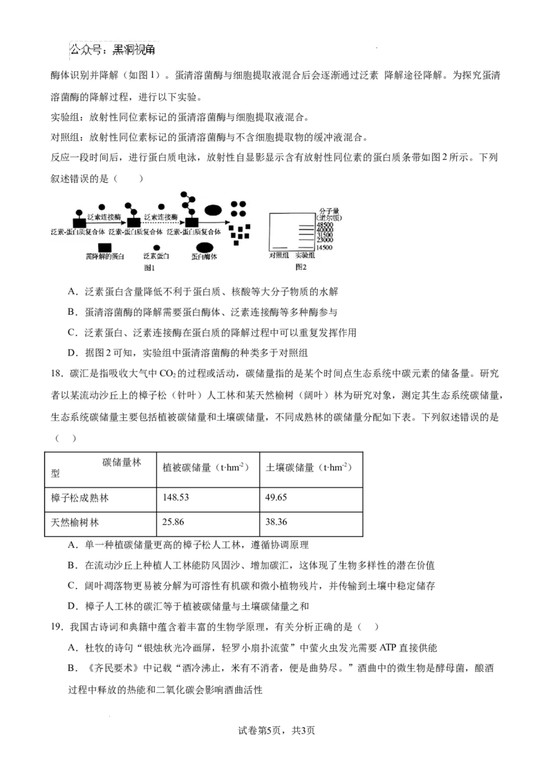 江苏省南京市协同体七校2024-2025学年高三上学期期中联合考试生物试题_2024-2025高三（6-6月题库）_2024年12月试卷_1202江苏省南京市协同体七校2025届高三期中联合考试（全科）