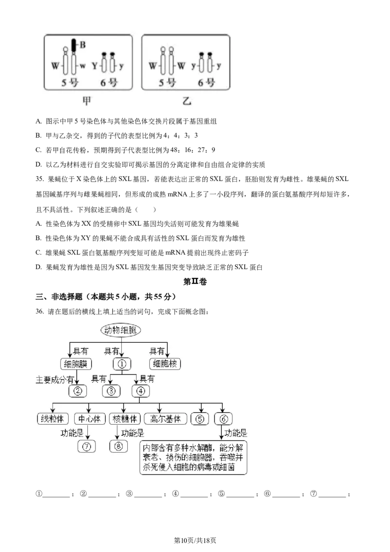 黑龙江省哈尔滨市第九中学校2024届高三上学期期中考试生物(1)_2023年11月_01每日更新_21号_2024届黑龙江省哈尔滨市第九中学校高三上学期期中考试