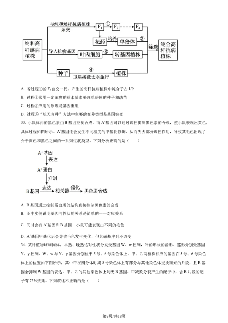 黑龙江省哈尔滨市第九中学校2024届高三上学期期中考试生物(1)_2023年11月_01每日更新_21号_2024届黑龙江省哈尔滨市第九中学校高三上学期期中考试