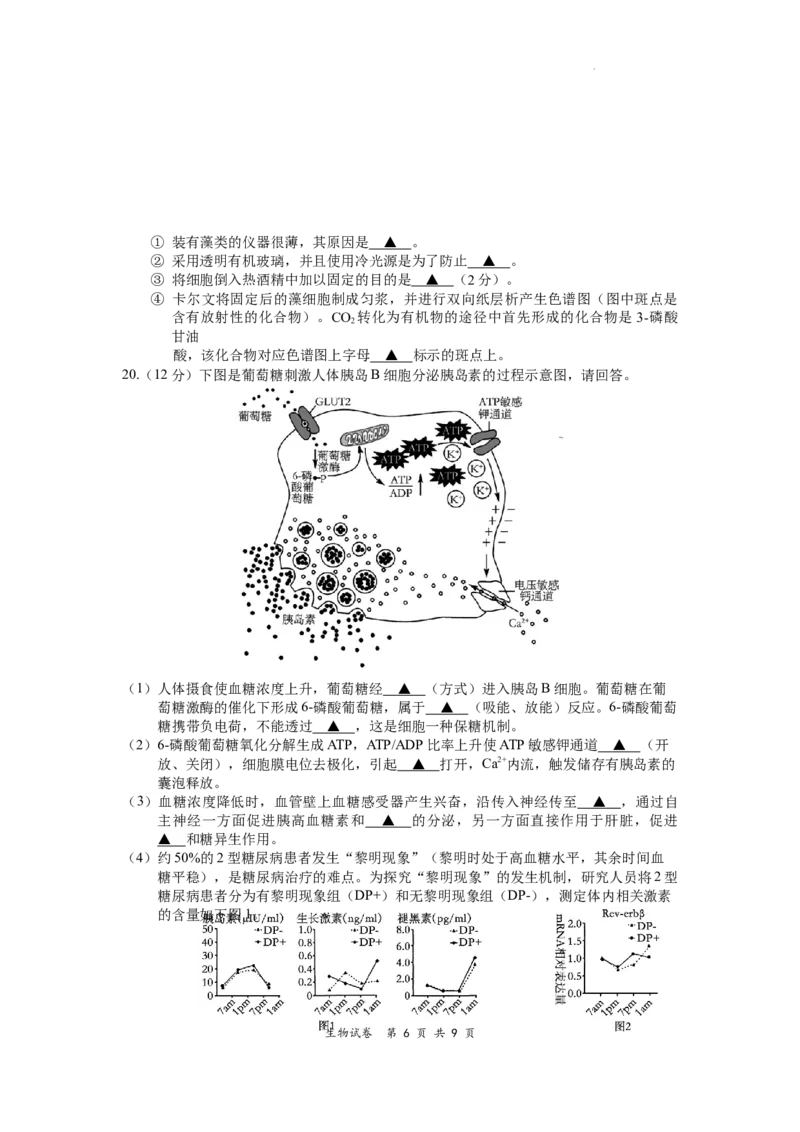 江苏省淮安、南通部分学校2023-2024学年高三上学期11月期中监测生物(1)_2023年11月_01每日更新_23号_2024届江苏省淮安、南通部分学校高三上学期11月期中监测