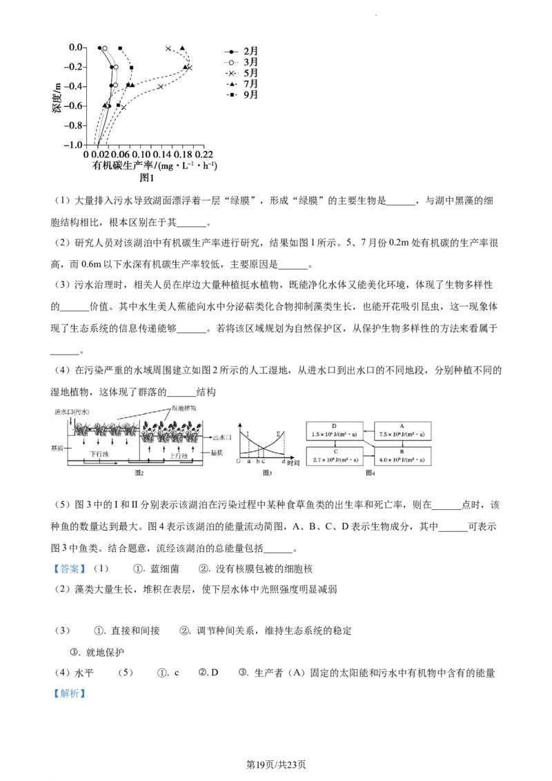 精品解析：河南省焦作市博爱县一中2023-2024学年高三11月期中生物试题（解析版）(1)_2023年11月_0211月合集_2024届河南省焦作市博爱县第一中学高三上学期11月期中考试试题