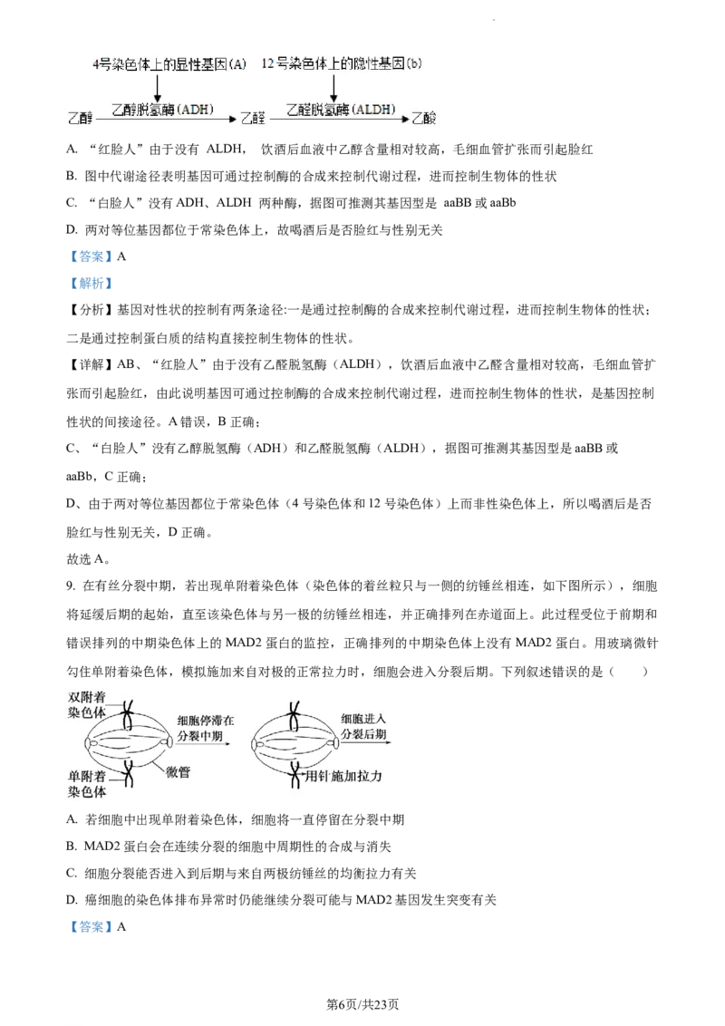 精品解析：河南省焦作市博爱县一中2023-2024学年高三11月期中生物试题（解析版）(1)_2023年11月_0211月合集_2024届河南省焦作市博爱县第一中学高三上学期11月期中考试试题