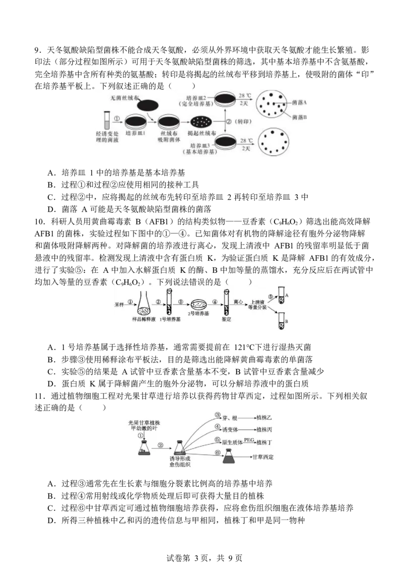 山东省济南市山东师范大学附属中学2024-2025学年高二下学期3月月考生物学试题（含答案）_2024-2025高二（7-7月题库）_2025年04月试卷(1)