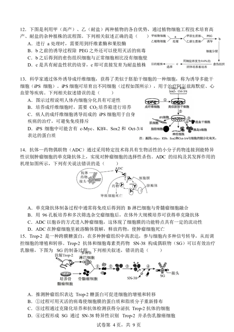 山东省济南市山东师范大学附属中学2024-2025学年高二下学期3月月考生物学试题（含答案）_2024-2025高二（7-7月题库）_2025年04月试卷(1)