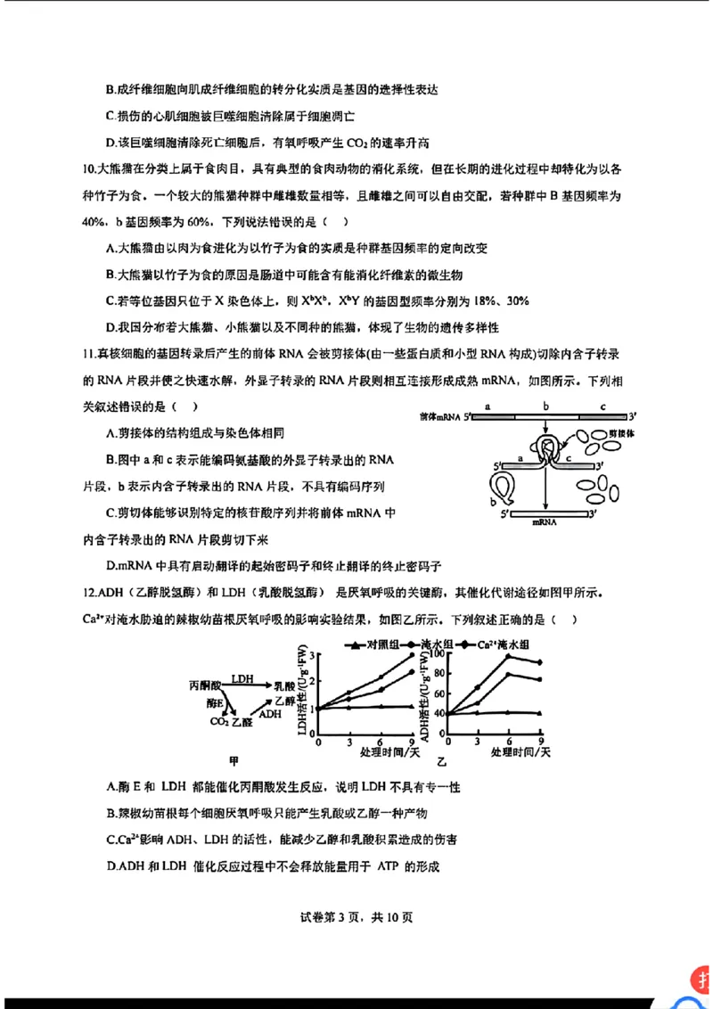 广东省深圳市高级中学2024-2025学年高三上学期第二次诊断考试生物学_2024-2025高三（6-6月题库）_2024年12月试卷_1211广东省深圳市高级中学2024-2025学年高三上学期第二次诊断考试