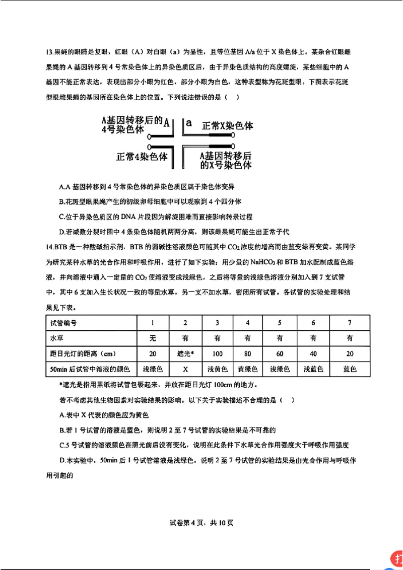 广东省深圳市高级中学2024-2025学年高三上学期第二次诊断考试生物学_2024-2025高三（6-6月题库）_2024年12月试卷_1211广东省深圳市高级中学2024-2025学年高三上学期第二次诊断考试