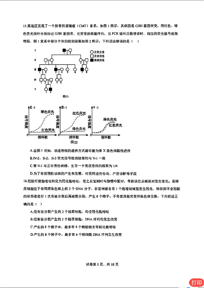 广东省深圳市高级中学2024-2025学年高三上学期第二次诊断考试生物学_2024-2025高三（6-6月题库）_2024年12月试卷_1211广东省深圳市高级中学2024-2025学年高三上学期第二次诊断考试