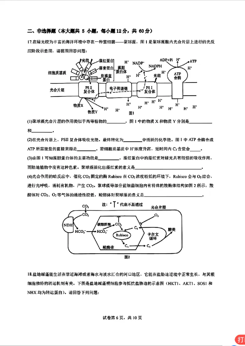 广东省深圳市高级中学2024-2025学年高三上学期第二次诊断考试生物学_2024-2025高三（6-6月题库）_2024年12月试卷_1211广东省深圳市高级中学2024-2025学年高三上学期第二次诊断考试
