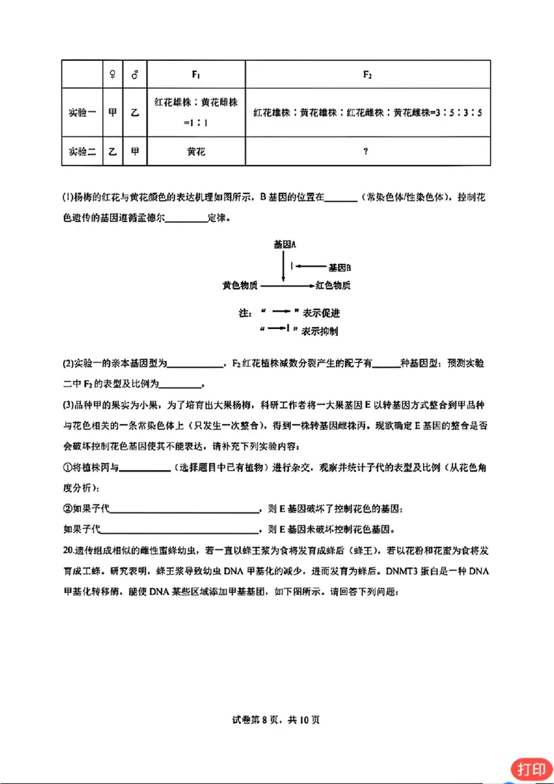 广东省深圳市高级中学2024-2025学年高三上学期第二次诊断考试生物学_2024-2025高三（6-6月题库）_2024年12月试卷_1211广东省深圳市高级中学2024-2025学年高三上学期第二次诊断考试