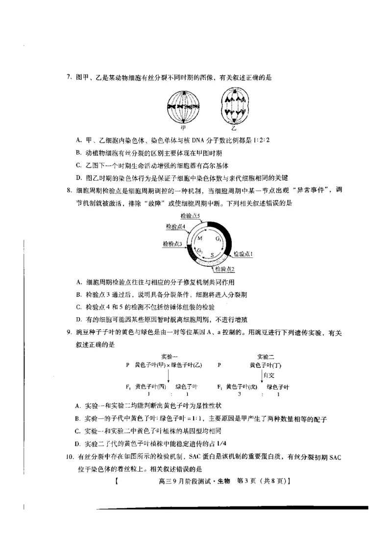 河北省承德市2024-2025学年高三上学期阶段性考试生物试题_2024-2025高三（6-6月题库）_2024年09月试卷_0927琢名小渔&middot;河北省2025届高三年级9月阶段测试