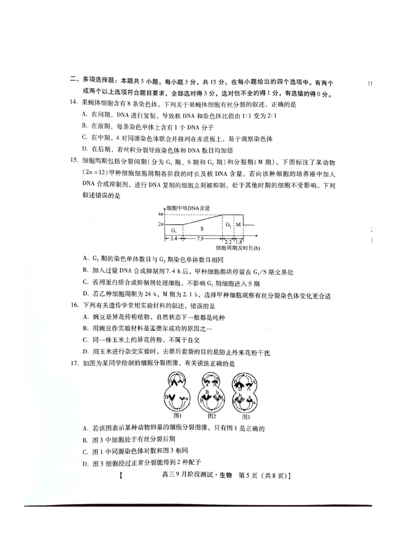 河北省承德市2024-2025学年高三上学期阶段性考试生物试题_2024-2025高三（6-6月题库）_2024年09月试卷_0927琢名小渔&middot;河北省2025届高三年级9月阶段测试