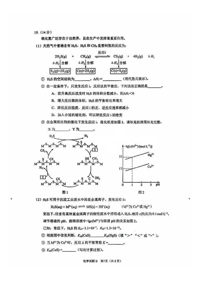 广州零模2025届高三12月调研考化学试题_2024-2025高三（6-6月题库）_2024年12月试卷_12242025届广东省广州市高三年级12月调研测试（零模）_2025届广东省广州市高三上学期12月调研测试化学