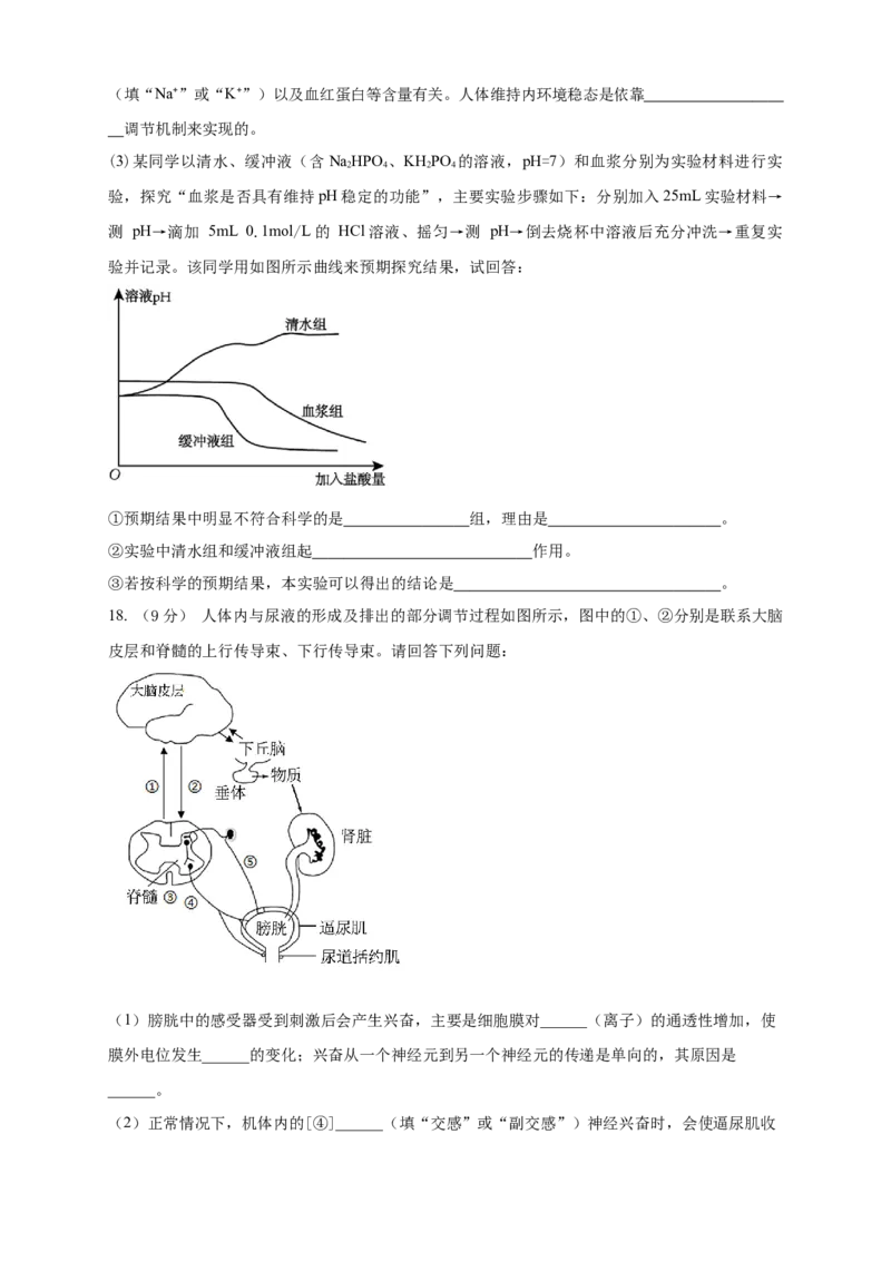 安徽省定远县育才学校2025-2026学年高二上学期12月月考生物试题（含答案）_2024-2025高二（7-7月题库）_2026年1月高二_260116安徽省滁州市定远县育才学校2025-2026学年高二上学期12月月考