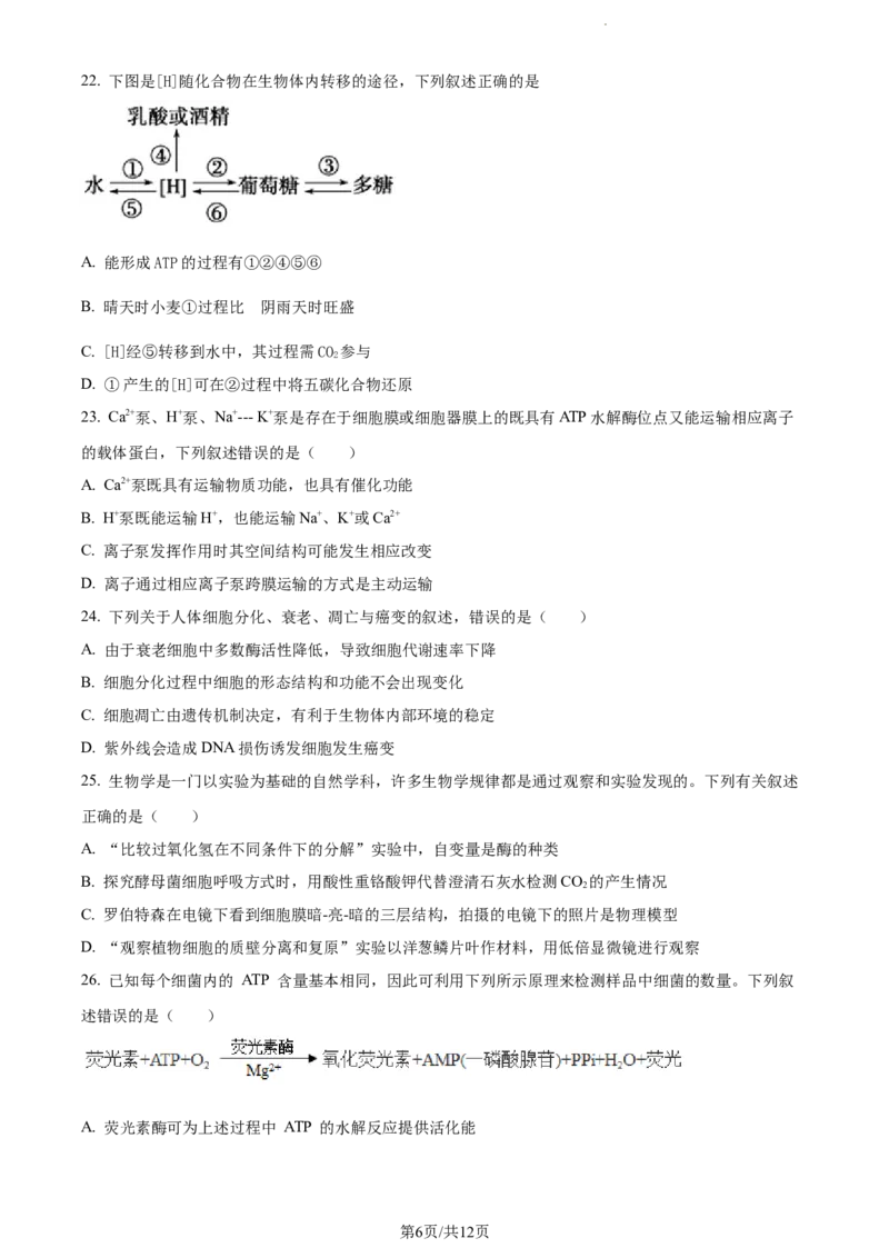 精品解析：四川省内江市六中2023-2024学年高三上学期入学考试生物试题（原卷版）(1)_2023年11月_0211月合集_2024届四川省内江市第六中学高三上学期第一次月考