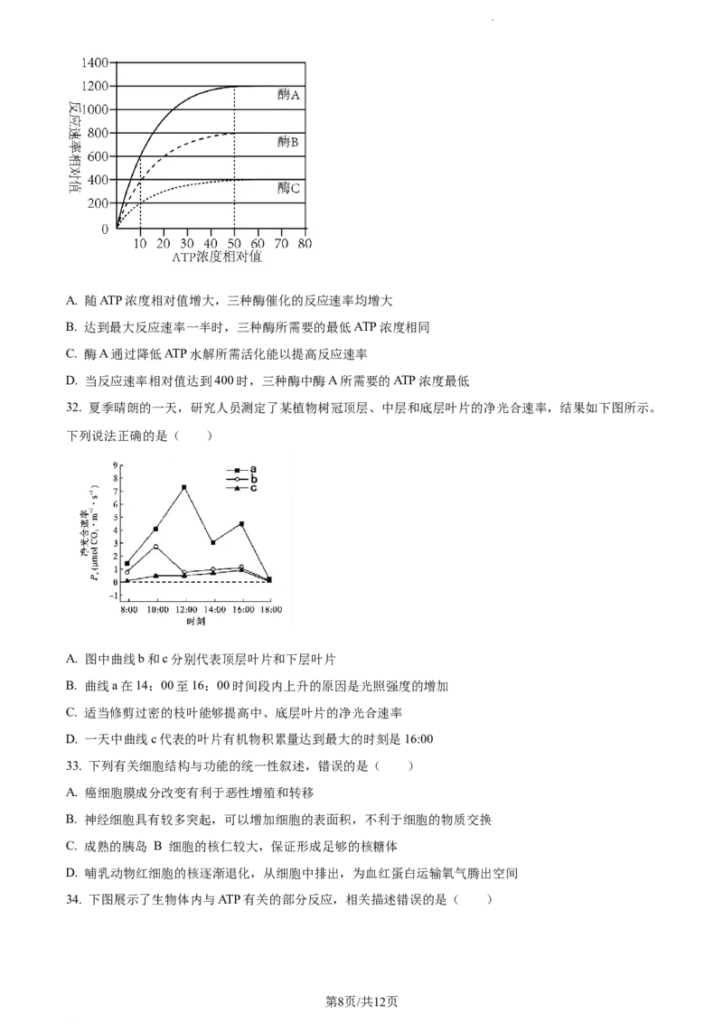 精品解析：四川省内江市六中2023-2024学年高三上学期入学考试生物试题（原卷版）(1)_2023年11月_0211月合集_2024届四川省内江市第六中学高三上学期第一次月考