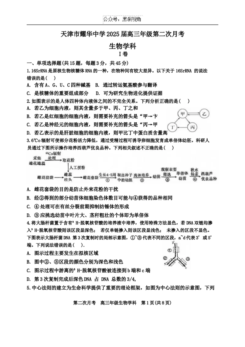 天津市耀华中学2024-2025学年高三上学期第二次月考试题生物Word版含答案_2024-2025高三（6-6月题库）_2024年12月试卷_1211天津市耀华中学2024-2025学年高三上学期第二次月考