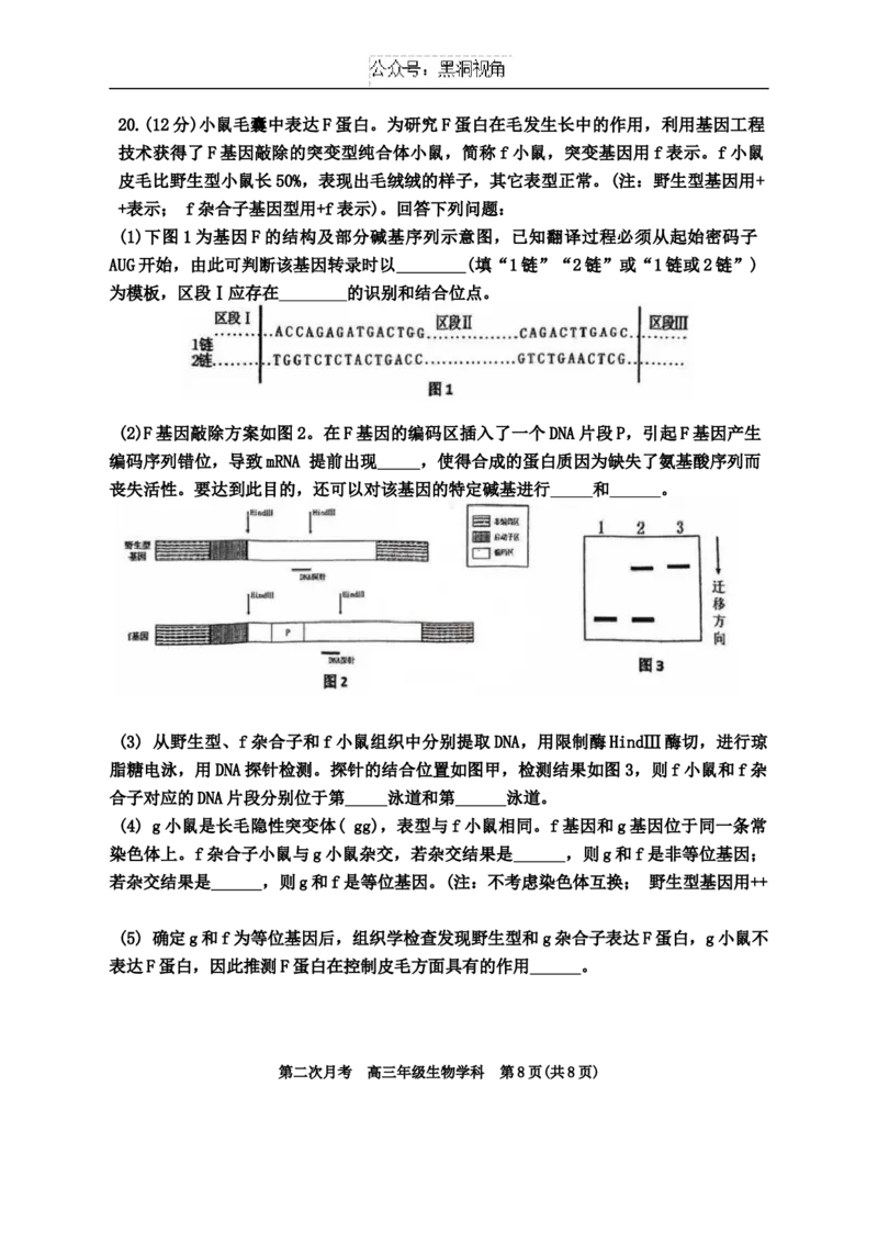 天津市耀华中学2024-2025学年高三上学期第二次月考试题生物Word版含答案_2024-2025高三（6-6月题库）_2024年12月试卷_1211天津市耀华中学2024-2025学年高三上学期第二次月考