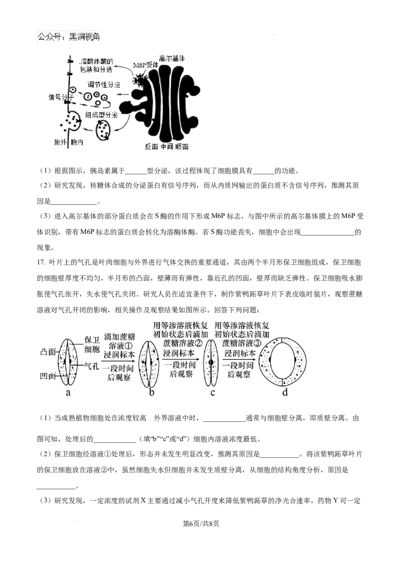 安徽省六安市第二中学2024-2025学年高三上学期10月月考生物_2024-2025高三（6-6月题库）_2024年10月试卷_1025安徽省六安市第二中学2024-2025学年高三上学期10月月考