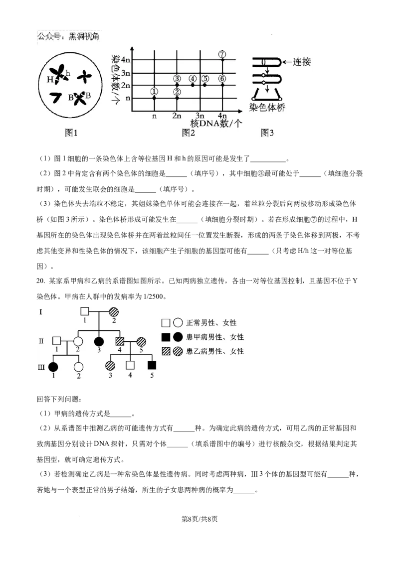 安徽省六安市第二中学2024-2025学年高三上学期10月月考生物_2024-2025高三（6-6月题库）_2024年10月试卷_1025安徽省六安市第二中学2024-2025学年高三上学期10月月考