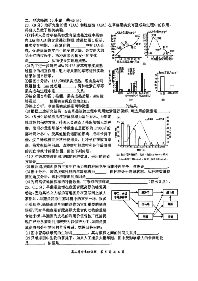 山大附中2025&mdash;2026学年高二12月考生物试题_2024-2025高二（7-7月题库）_2026年1月高二_260106山西省太原市山西大学附属中学校2025-2026学年高二上学期12月月考（全）