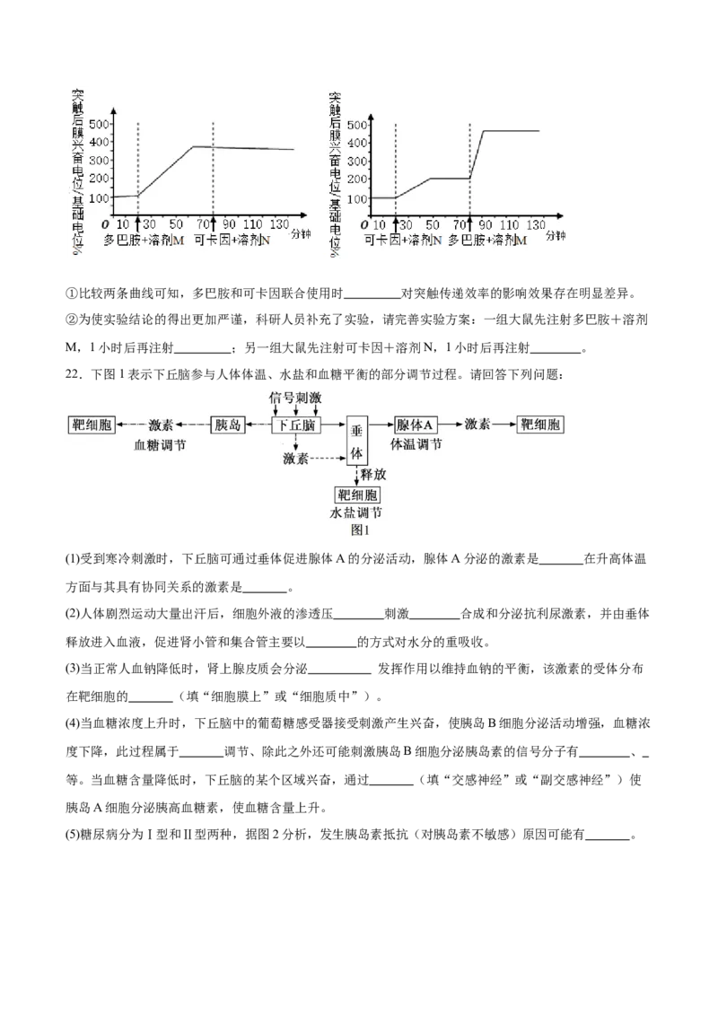 江苏省苏州市2025-2026学年高二上学期期中考试生物Word版含答案_2024-2025高二（7-7月题库）_2026年1月高二_260111江苏省苏州市2025-2026学年高二上学期期中考试