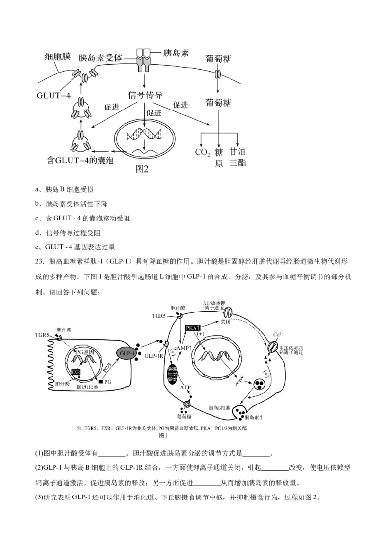 江苏省苏州市2025-2026学年高二上学期期中考试生物Word版含答案_2024-2025高二（7-7月题库）_2026年1月高二_260111江苏省苏州市2025-2026学年高二上学期期中考试