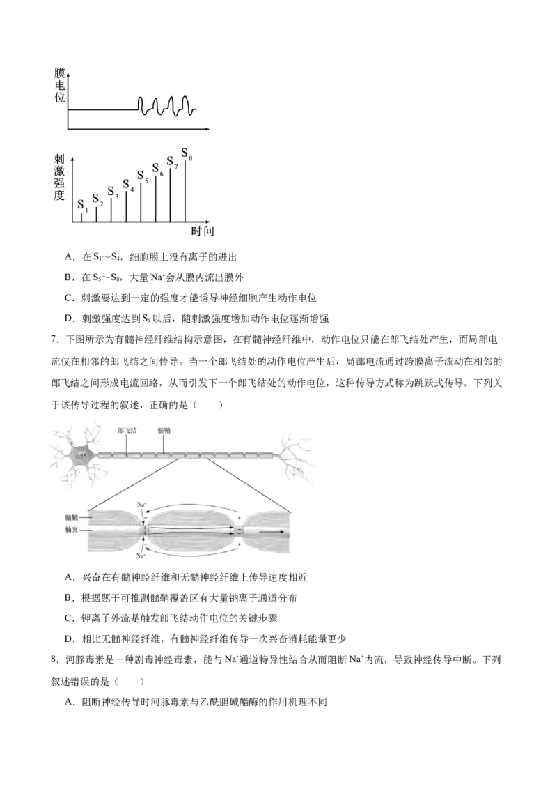 江苏省苏州市2025-2026学年高二上学期期中考试生物Word版含答案_2024-2025高二（7-7月题库）_2026年1月高二_260111江苏省苏州市2025-2026学年高二上学期期中考试