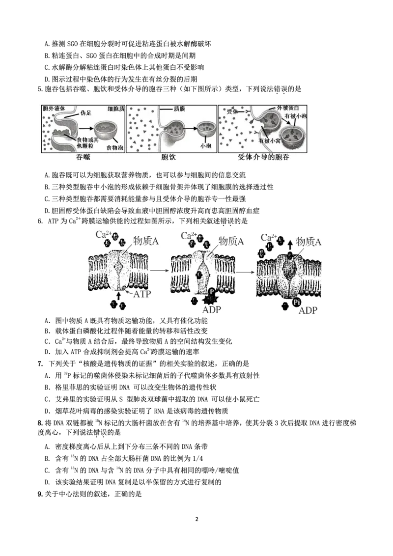 生物(1)_2023年11月_0211月合集_2024届广东省惠州市高三第二次调研考试_广东省惠州市2024届高三第二次调研考试生物