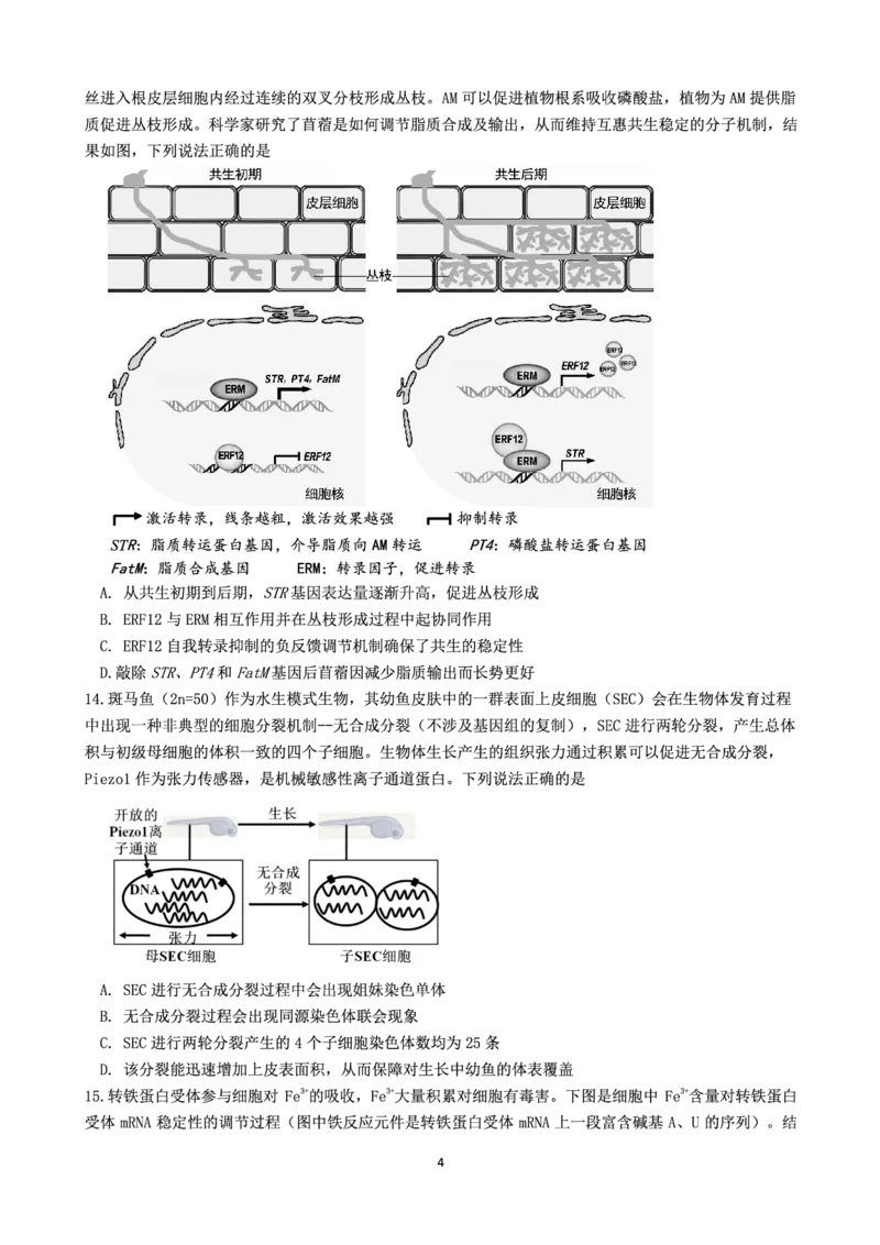生物(1)_2023年11月_0211月合集_2024届广东省惠州市高三第二次调研考试_广东省惠州市2024届高三第二次调研考试生物
