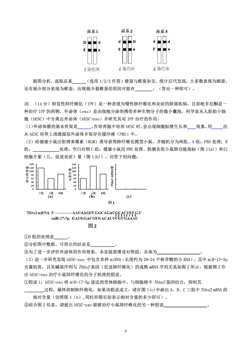 生物(1)_2023年11月_0211月合集_2024届广东省惠州市高三第二次调研考试_广东省惠州市2024届高三第二次调研考试生物