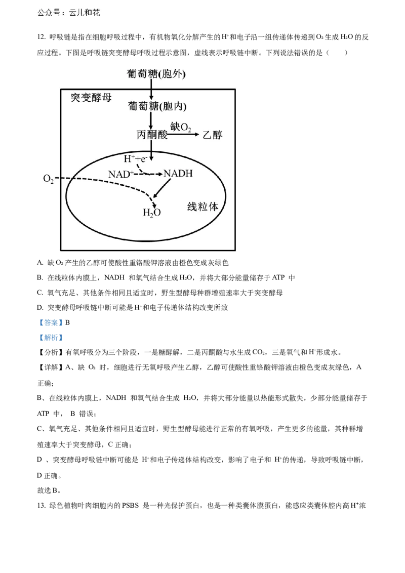山东省烟台市2023-2024学年高二下学期7月期末考试生物Word版含解析_2024-2025高二（7-7月题库）_2024年07月试卷_0726山东省烟台市2023-2024学年高二下学期7月期末考试
