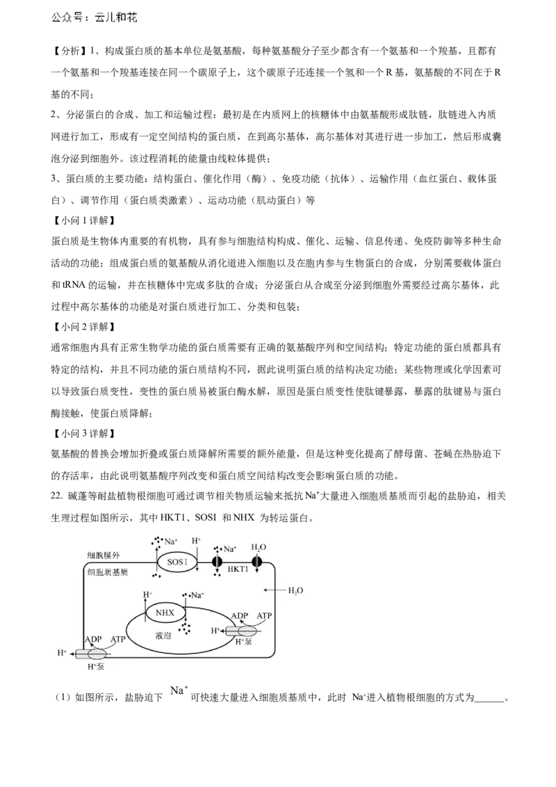 山东省烟台市2023-2024学年高二下学期7月期末考试生物Word版含解析_2024-2025高二（7-7月题库）_2024年07月试卷_0726山东省烟台市2023-2024学年高二下学期7月期末考试