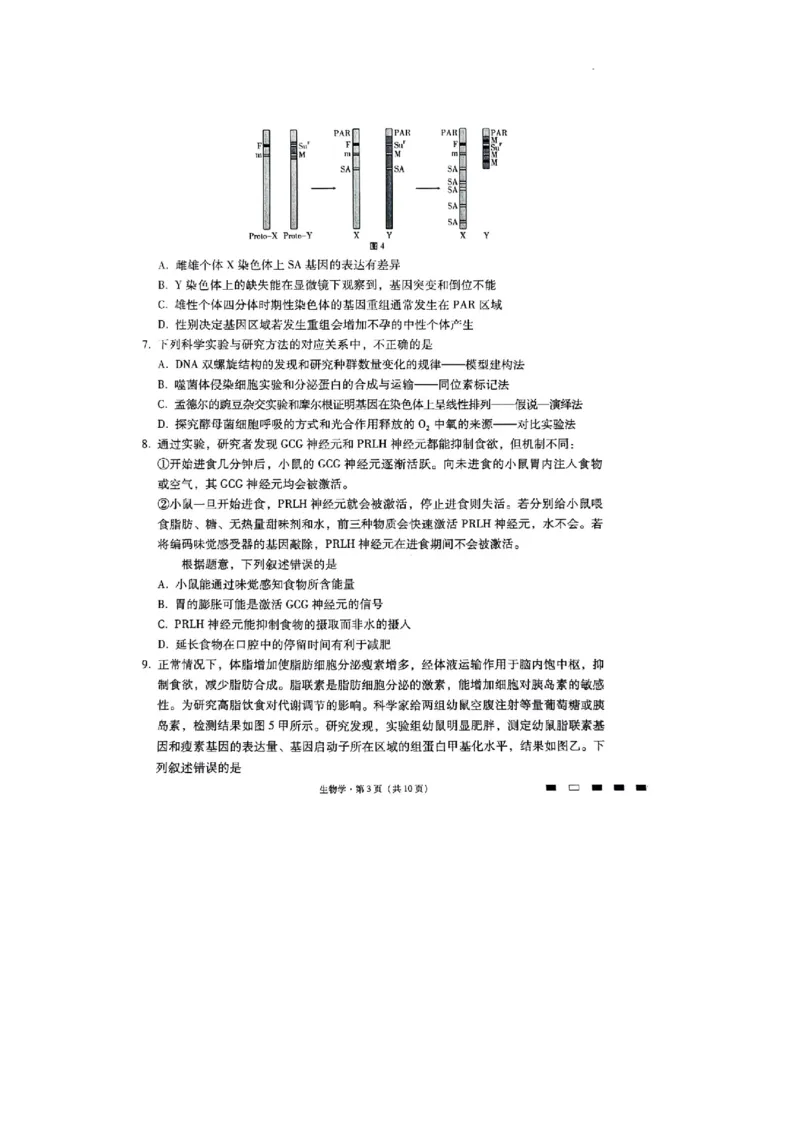 重庆市渝中区重庆市巴蜀中学校2023-2024学年高三下学期3月月考生物试题_2024年3月_013月合集_2024届重庆市巴蜀中学高三下学期适应性月考（七）