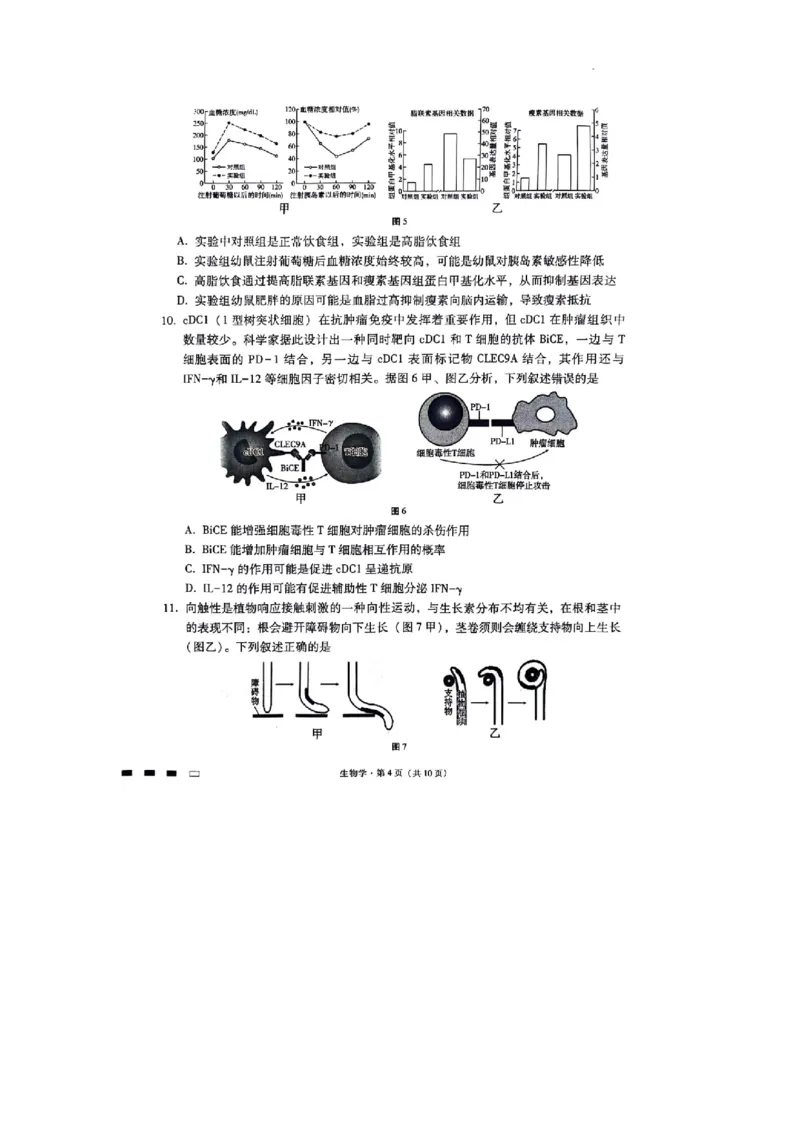 重庆市渝中区重庆市巴蜀中学校2023-2024学年高三下学期3月月考生物试题_2024年3月_013月合集_2024届重庆市巴蜀中学高三下学期适应性月考（七）